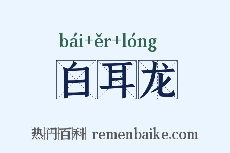 白耳龙是什么意思的图片